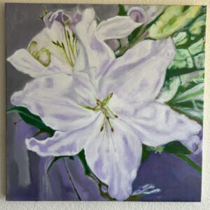 Stargazer